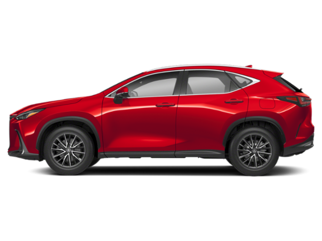 2024 Lexus NX 350 Luxury photo 6