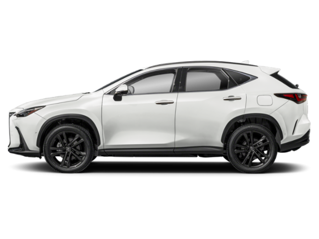 2025 Lexus NX 450h+ Luxury photo 4