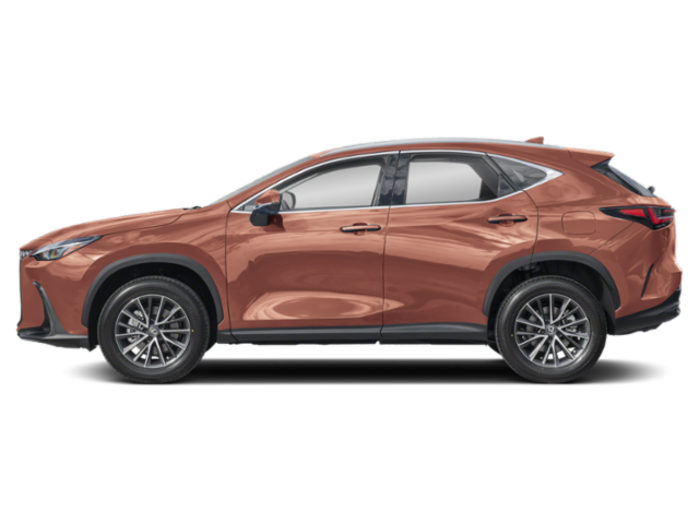 2025 Lexus NX 250 Premium photo 2