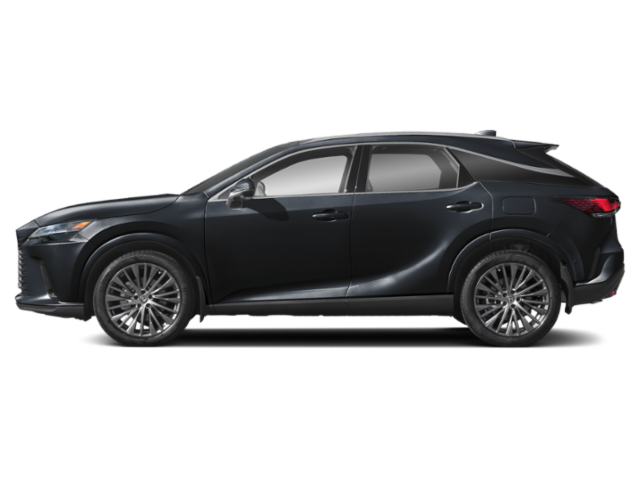 2025 Lexus RX 350 Luxury photo 2