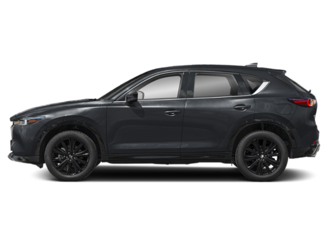 2025 Mazda CX-5 2.5 Turbo Premium photo 2