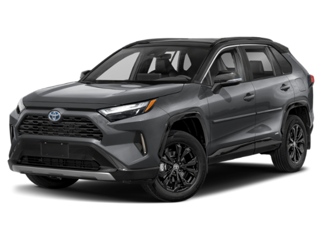 2025 Toyota RAV4 Hybrid XLE photo 3