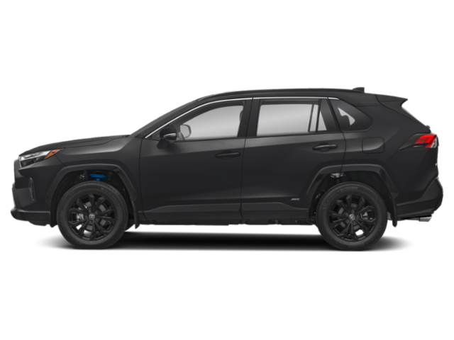 2025 Toyota RAV4 Hybrid XLE photo 3