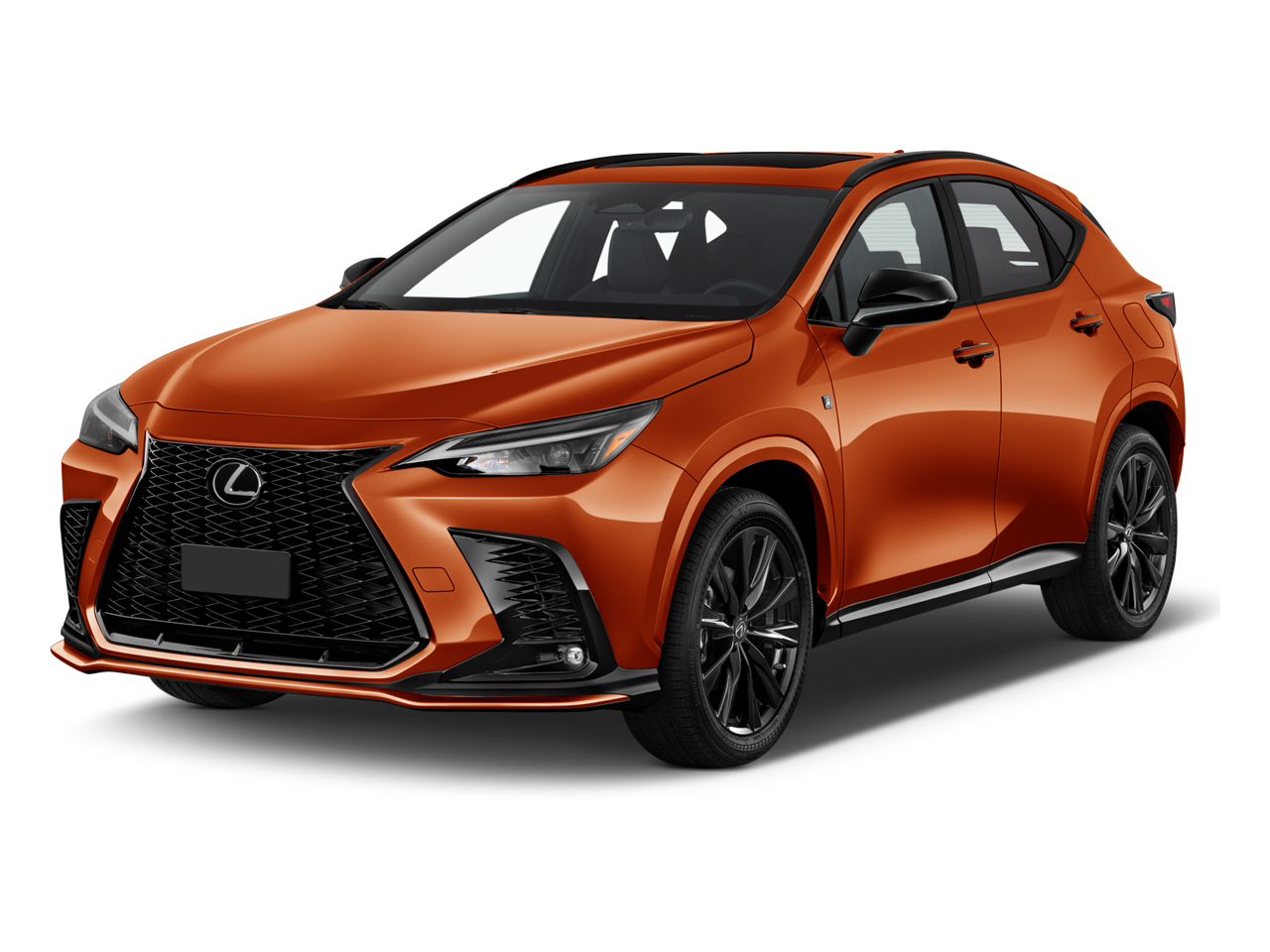 2023 Lexus NX 350 F SPORT Handling photo 2