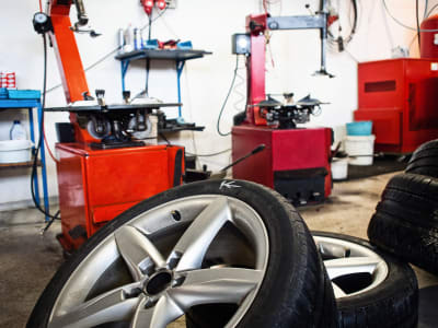 Examine Our Selection Today!