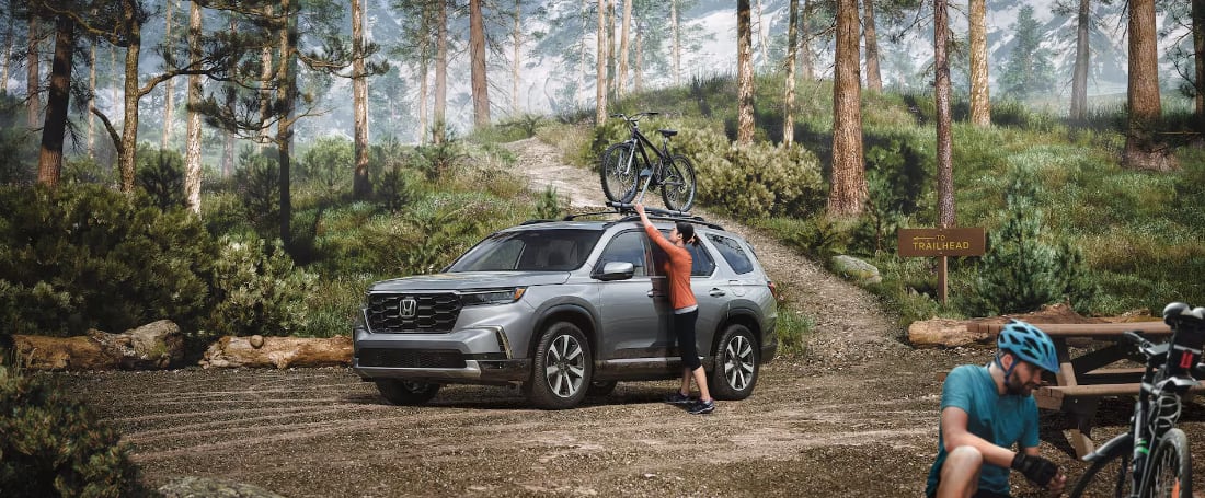 2025 Honda Pilot for Sale near Vienna, VA