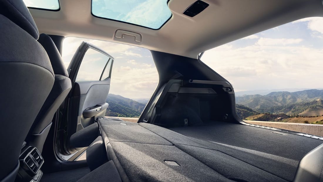 2025 Lexus RZ 450e Cargo Area