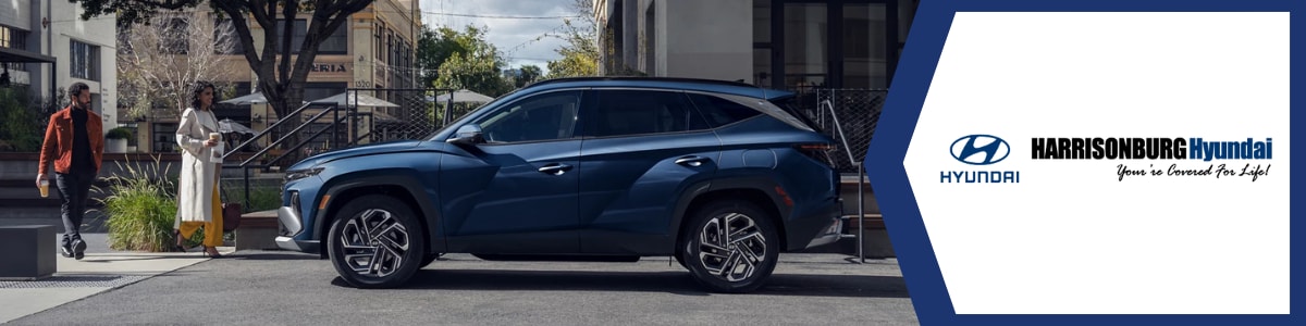 Used Car Lots in Winchester VA