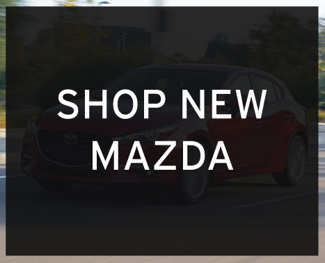 Shop New