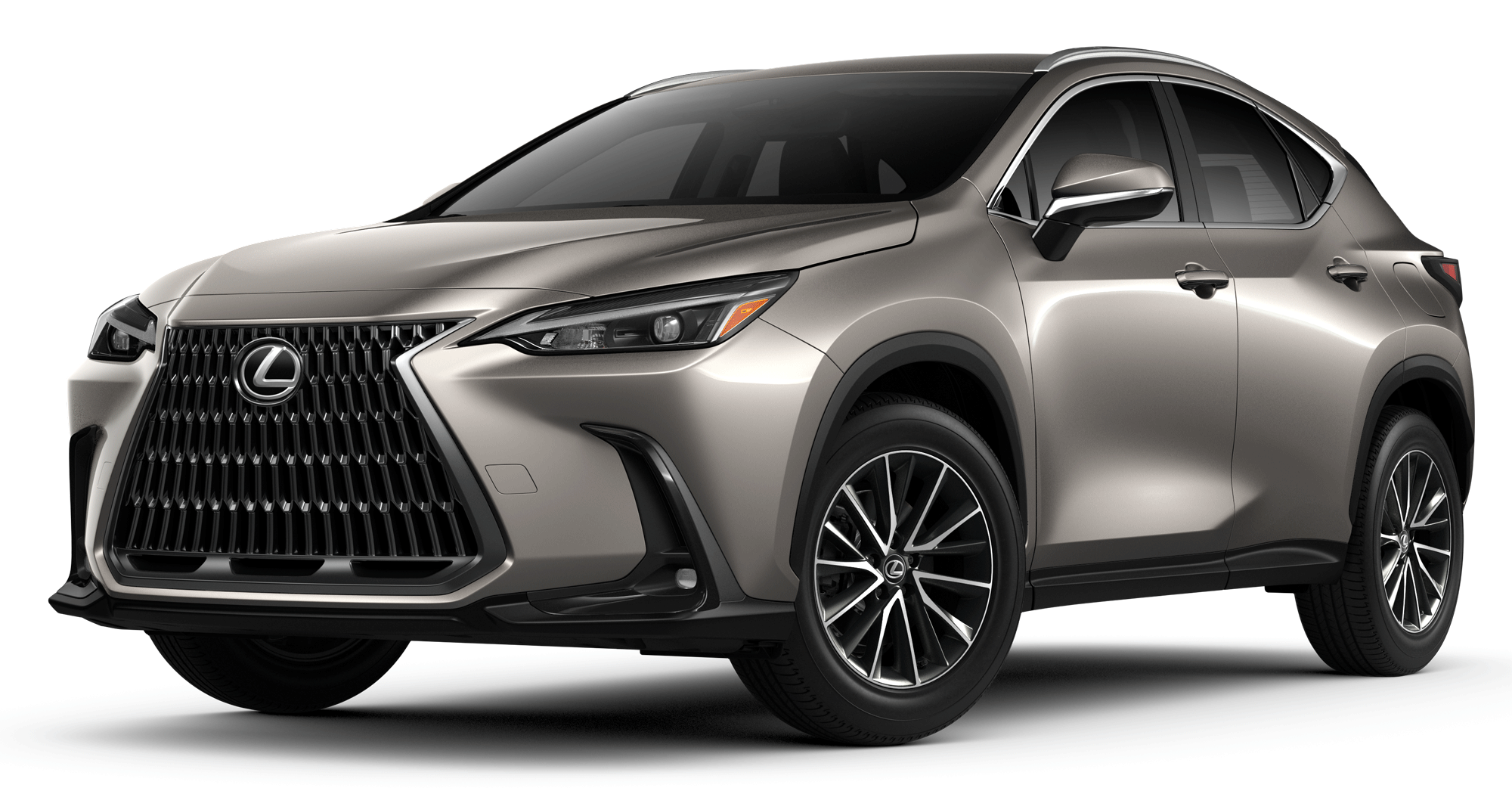 2024 Lexus NX