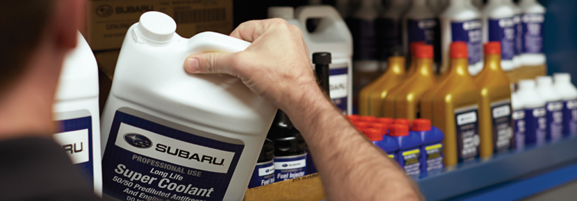 Man grabbing fluid container from shelf of Subaru certified oils and fluids.