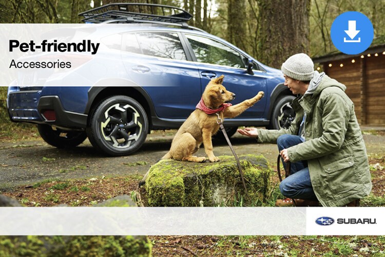 Pet-Friendly Accessories Brochure