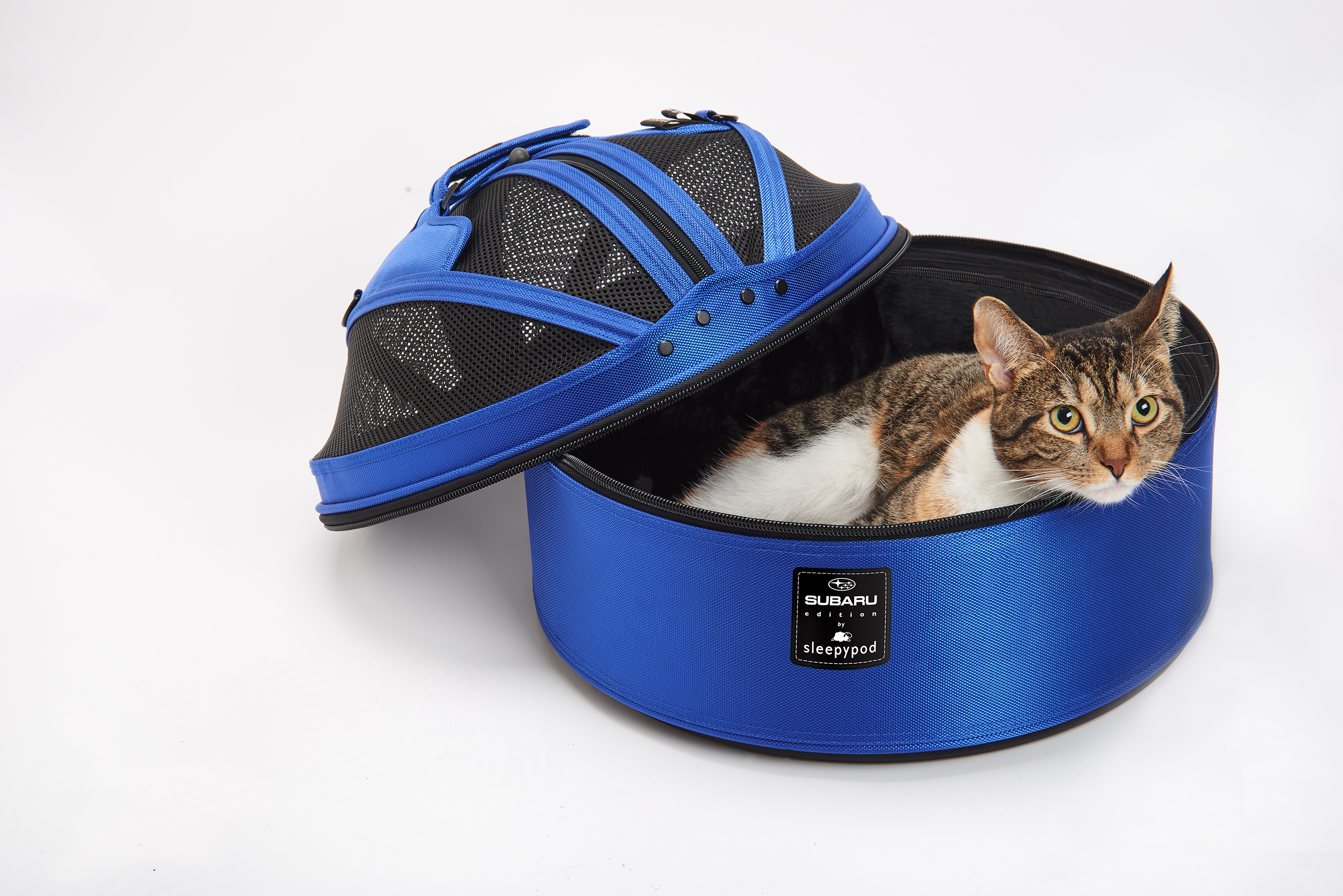 Pet Carrier | Mobile Bed