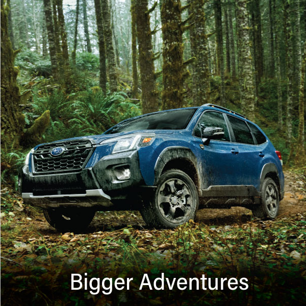 A blue Subaru outback wilderness with the words 'Bigger Adventures'