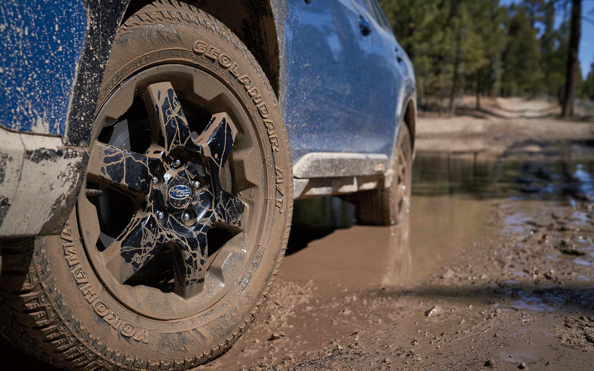 2024 Subaru Wilderness