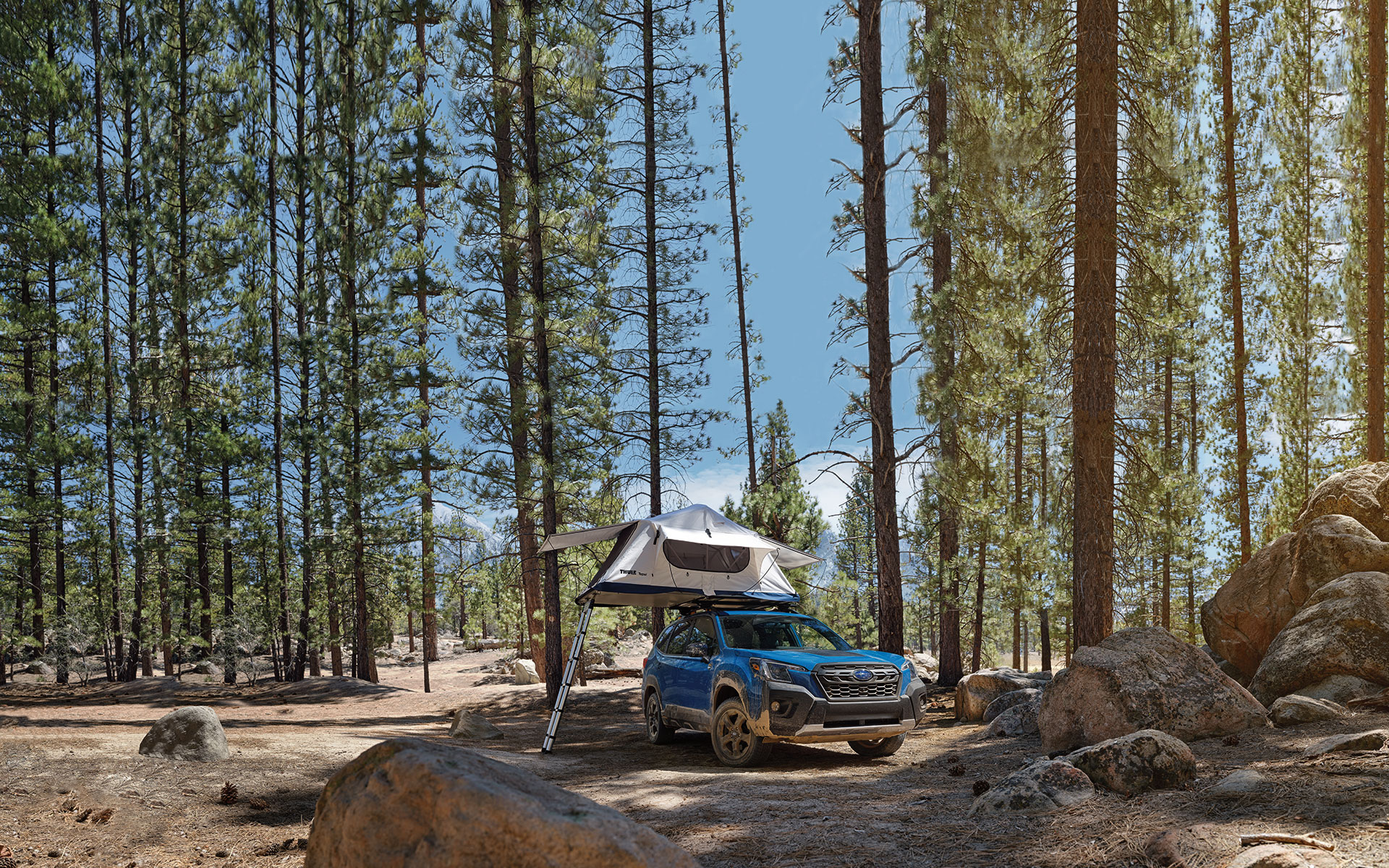 2024 Subaru Wilderness