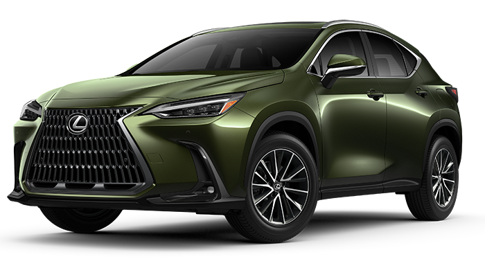 2025 Lexus NX - Lexus of Louisville