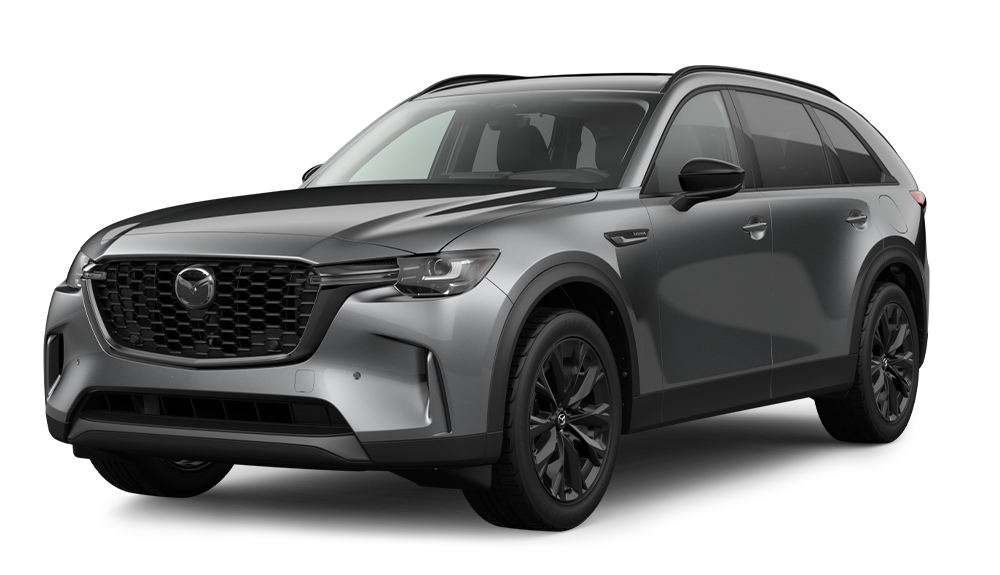 3.3 TURBO PREMIUM SPORT