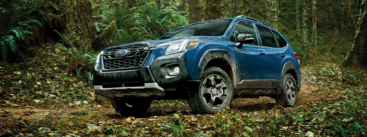A blue Subaru Forester Wilderness off-road SUV parked in the forest.