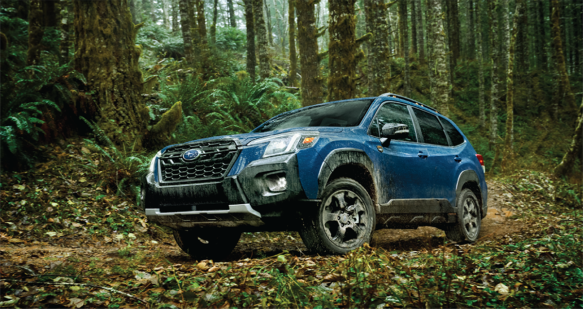 A blue 2025 Subaru Forester Wilderness off-roading in dense forest.