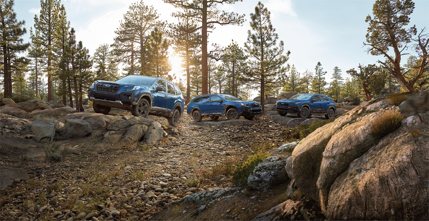 2024 Outback Wilderness, 2024 Forester Wilderness, and 2024 Crosstrek Wilderness in a Family of Vehicles shot in the woods