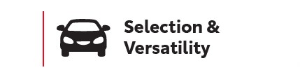 Selection & Versatility Graphic