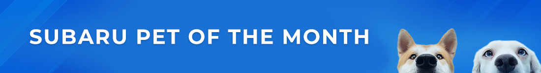 Jacksonville Humane Society main-banner