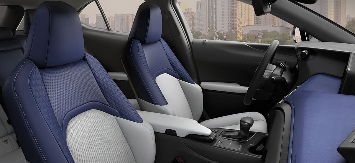 Unique Upholstery in the 2020 UX 250h