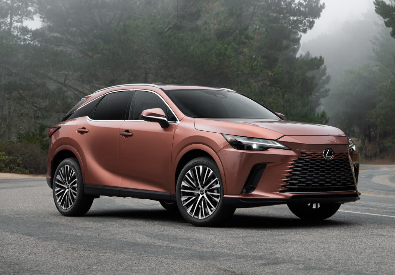 2024 Lexus RX 350 Release Date, Specs, Price, And More!