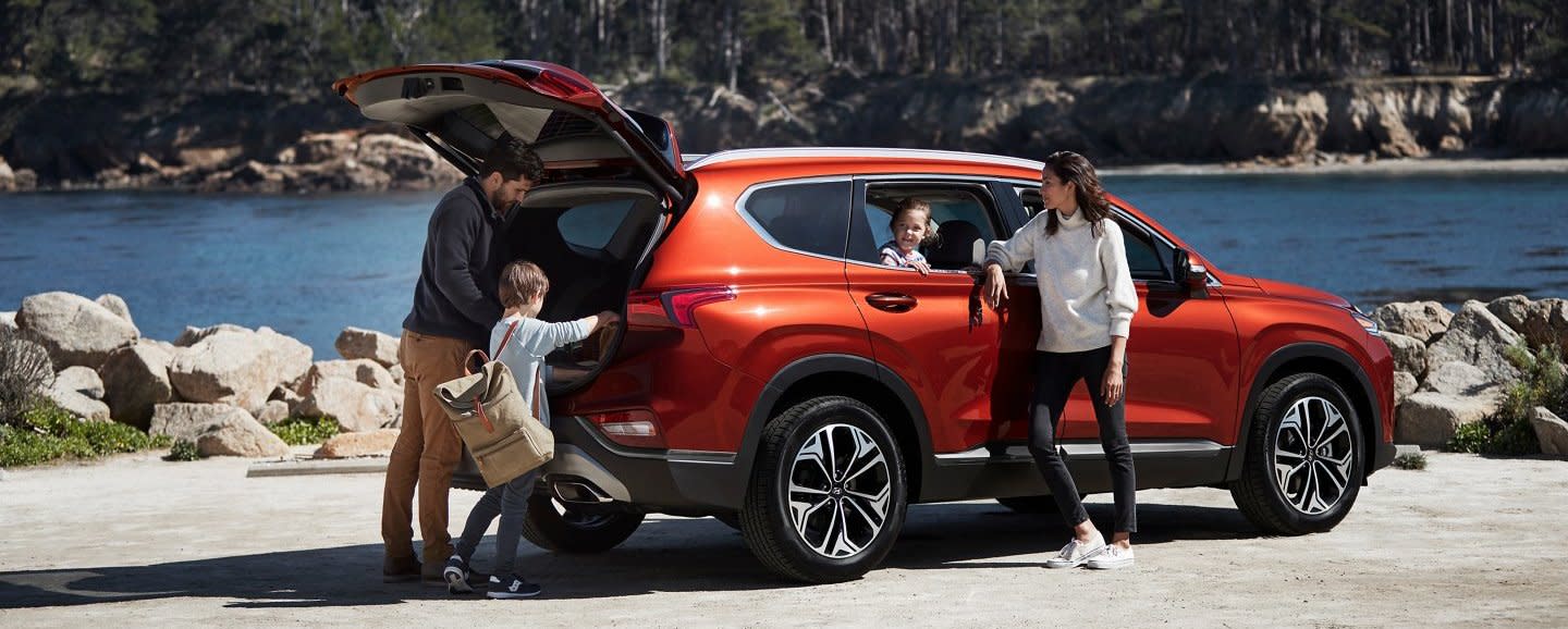 2020 Hyundai Santa Fe for Sale near Washington, DC