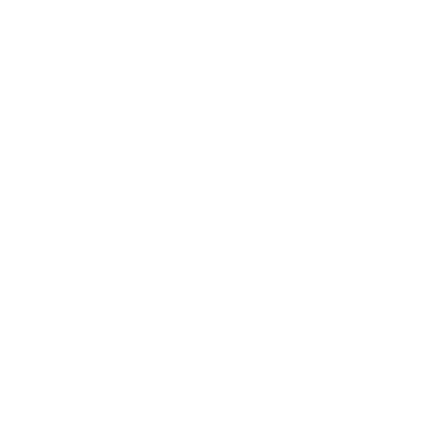Cronin Auto Group Logo