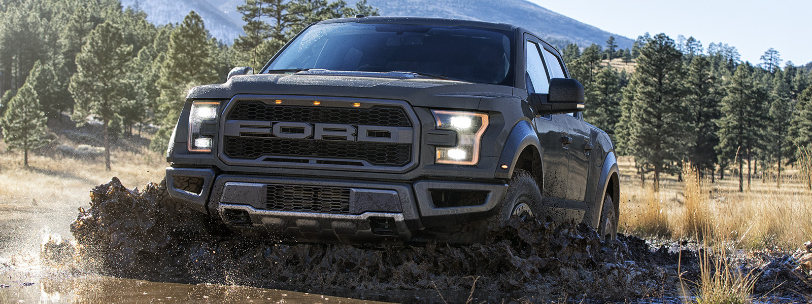 2019 Ford F 150 Raptor For Sale Pittsville Ford Ford