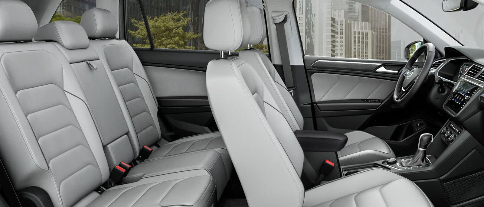 Spacious Cabin Room in the 2019 Passat