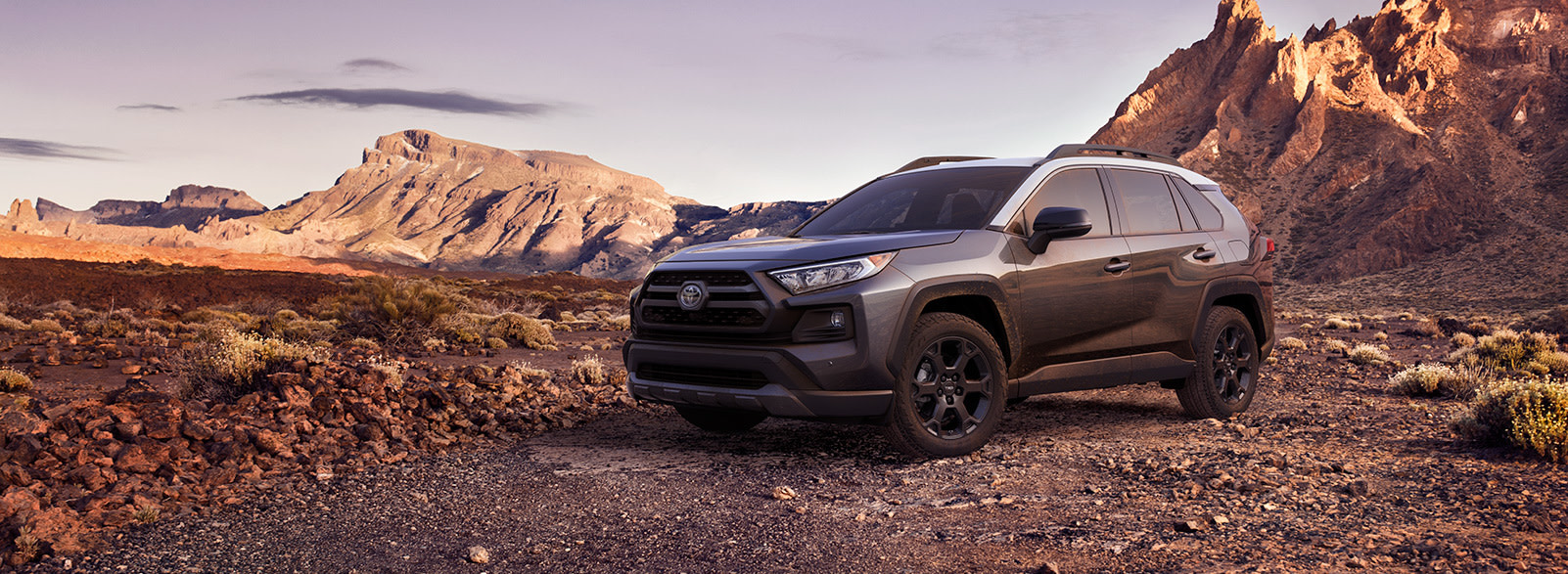 Compare the 2020 Toyota RAV4 vs. the Honda CR-V crossovers at Tri County Toyota | grey 2020 rav4 parked in a mountain terrian