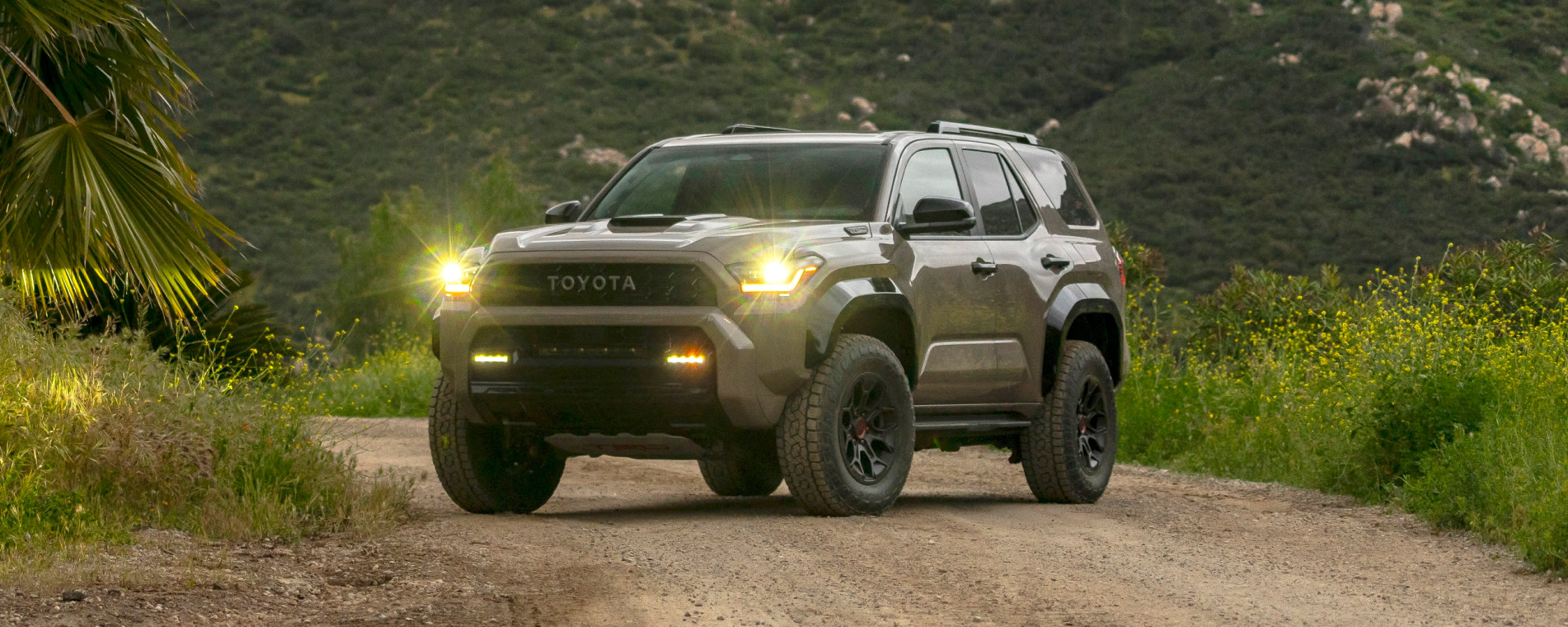 2025 Toyota 4Runner Review: Specs, Interior & More!