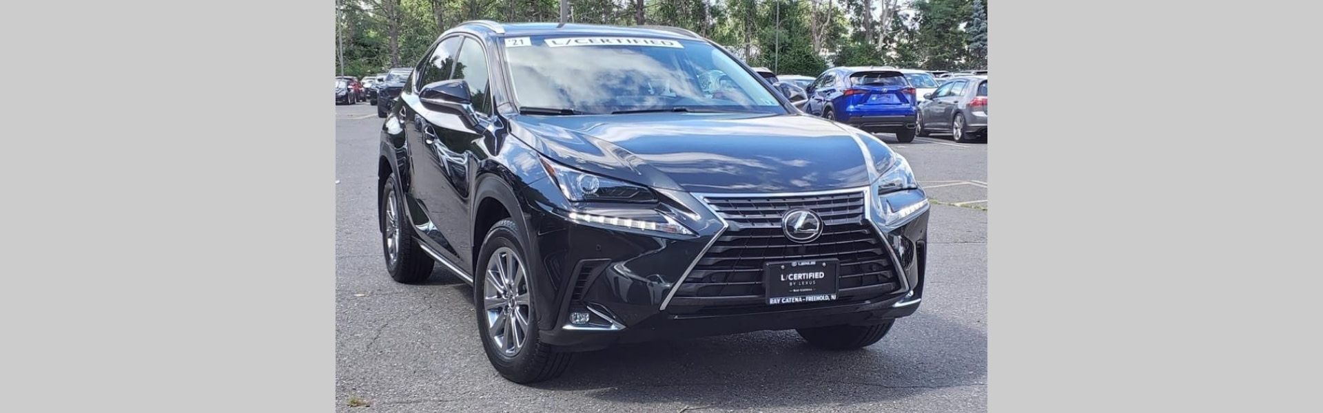 Pre-Owned Special Offers | Lexus of Freehold in Freehold New Jersey