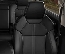 Leather Interior