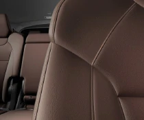 Leather Interior