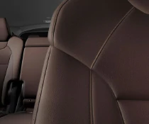 Leather Interior