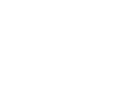 Nissan Express Service