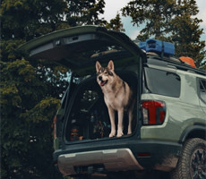 hands-free access power tailgate