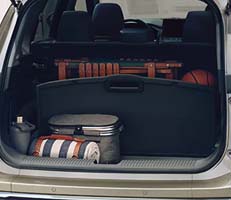 divide-n-hide cargo system