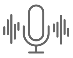 dynamic voice recognition