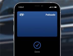 Works with Apple Wallet