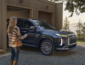 remote smart parking assist