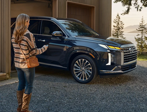 Remote Smart Parking Assist