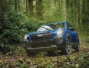 2024 Subaru Forester