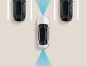 remote smart parking assistrspa