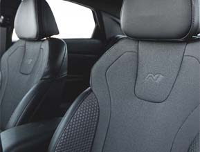 N Line leather seats