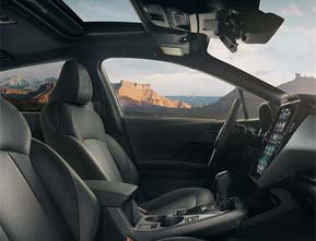 thrive in the wilderness